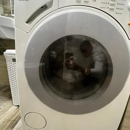 Daire Square 9 Tiran